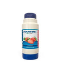 MASTER MARTINI TOPPING/SIROPE FRESA 1 KG