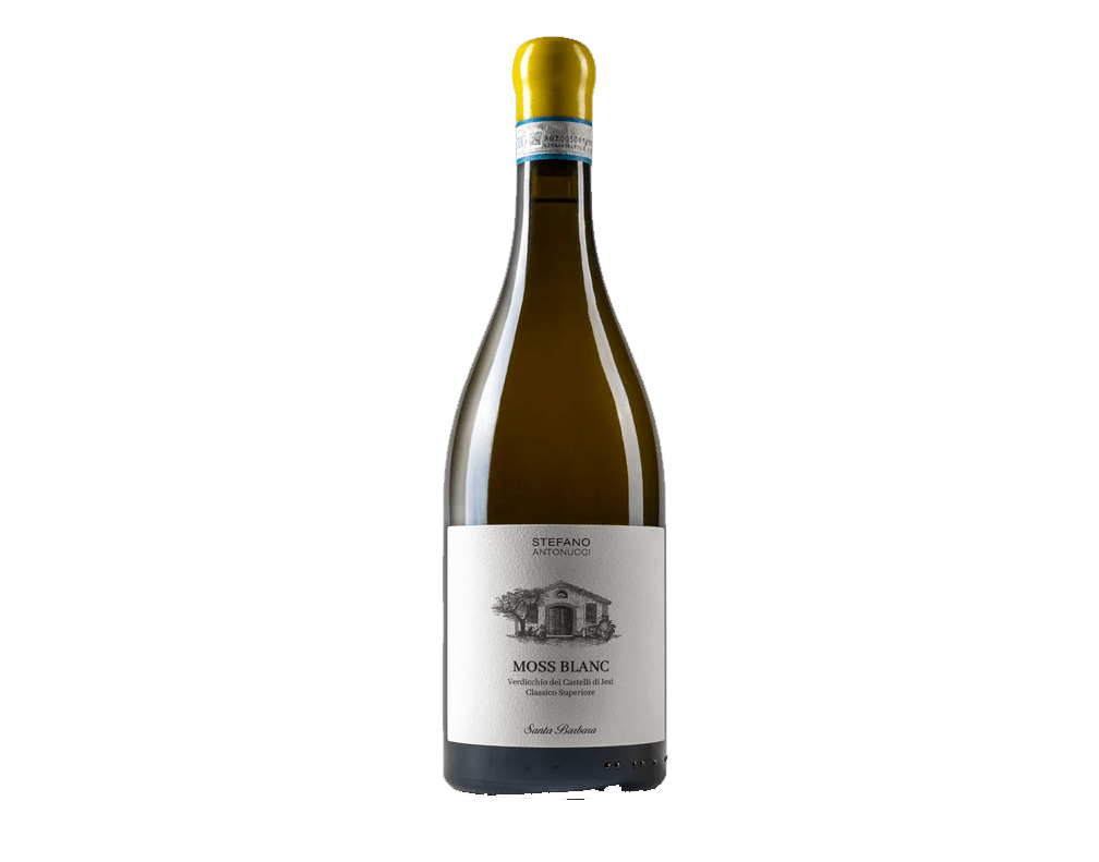 S. Barbara Moss Blanc Verdicchio Vino Blanco 750Ml